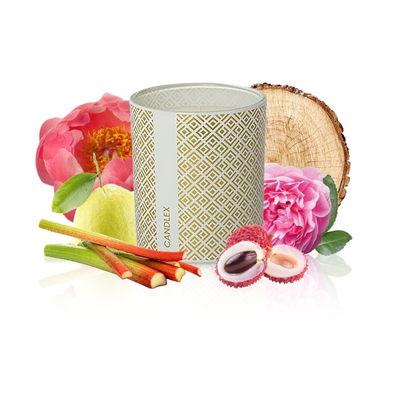 Daydream – Luxury Scented Candle – 8oz White