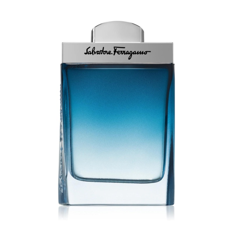 Subtil Pour Homme EDT 100mL