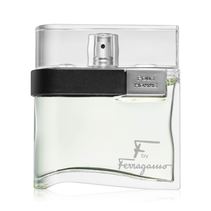 F by Ferragamo Pour Homme EDT 100mL
